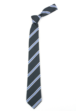 Harris Academy Purley Tie - Blue (Yrs 9-11)